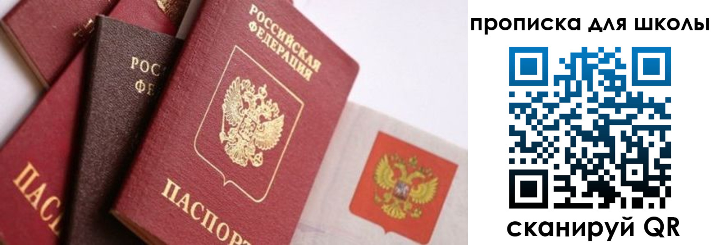 прописка поиск в Абазе